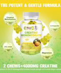 Alliwise Creatine Monohydrate Gummy For Men & Women, Sugar-Free Creatine Monohydrate Supplement With Magnesium & Zinc & Ashwagandha, For Muscle Builder & Strength, Energy, Pre Workout Support