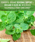 Garden of Life Organics Oil Of Oregano Seasonal Drops 1Fl Oz (30 Ml) Liquid Concentrated Plant Based Immune Support - Alcohol-Free Organic Non-Gmo Vegan & Gluten Free Herbal Supplements
