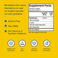 North American Herb Spice Thyroset 90 Capsules Wild Kelp Herbs Blend Healthy Thyroid Support Contains Trace Minerals Natural Iodine Antioxidants Amino Acids 45 Servings