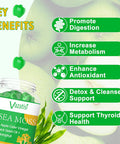 2 Pack Organic Irish Sea Moss Gummies With Black Seed Oil, Chlorophyll - Thyroid, Digestion, Mood, Energy & Immune Support - Women & Men, Adult & Kid - 120 Vegan Gummies