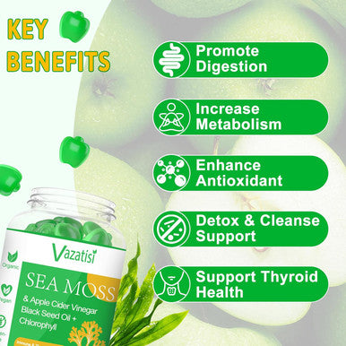 2 Pack Organic Irish Sea Moss Gummies With Black Seed Oil, Chlorophyll - Thyroid, Digestion, Mood, Energy & Immune Support - Women & Men, Adult & Kid - 120 Vegan Gummies