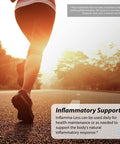 Irwin Naturals Inflammatory Response Inflamma-Less Supports Comfort Mobility Flexibility 80 Liquid Softgels Bundle With A Pill Case