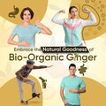 Weightworld Organic Ginger Supplement - High Strength 1300mg - Soil Association - 2 Ginger Root Capsules Per Serving - Vegan Joint & Digestion Supplement