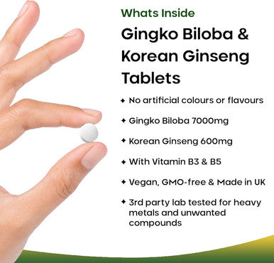 Ginkgo Biloba And Korean Ginseng Tablets 7000Mg Ginkgo Biloba Herbal Supplements & 600Mg Panax Ginseng High Strength Ginseng Extract Enriched With Vitamin B3 and B5 360 Vegan Tablets