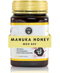 Honey Australia Manuka Honey MGO 263+ | 17.6 oz | Raw, Organic, Pure Honey for Daily Wellness & Energy | Natural Sweetener & Health Boost | Rich in Nutrients, Delicious, Creamy Flavor