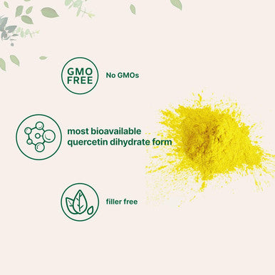 Micro Ingredients Pure Quercetin Dihydrate Powder Quercetin 500mg Per Serving 100 Grams Most Bioavailable Grade and Filler Powerful Antioxidant Supports Energy Immune System No GMOs and Vegan