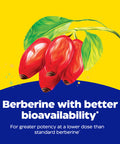 Enzymedica Berberine Phytosome 60 Capsules