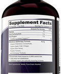 Purely Holistic Organic Elderberry Syrup For Adults & Kids (2+) - 16 Fl Oz - With Black Sambucus Elderberry, Propolis, Ecea, Raw Honey & Apple Cider Vinegar - Immune Support And Immune Booster