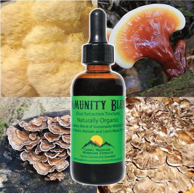 Immunity Blend Extract Organic Mushrooms to Support Immune Health and Promote Energy Daily Immune Support with Turkey Tail Reishi Maitake Lions Mane Naturally Vegan 2 OZ 60 Servings