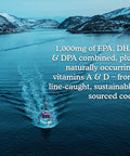 Garden of Life Dr. Formulated Alaskan Cod Liver Oil Lemon 6.76 Fl Oz (200 Ml)