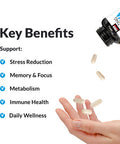 Force Factor Amazing Ashwa for Relief, Memory, Focus, Immune Health, and Metabolism, Ashwaganda Supplement with KSM-66 Ashwagan for , 120 Tablets, White Packaging