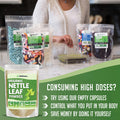 Xprs Nutra Organic Nettle Leaf Powder with Horsetail Extract Bundle (Each 16 Ounces)