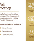 Solgar Ginkgo Biloba Leaf Extract 180 Vegetable Capsules - Brain Health & Mental Alertness - Standardized Full Potency (Sfp) - Non-Gmo Vegan Gluten Free Dairy Free Kosher Halal - 180 Servings