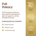 Solgar Ginkgo Biloba Leaf Extract 180 Vegetable Capsules - Brain Health & Mental Alertness - Standardized Full Potency (Sfp) - Non-Gmo Vegan Gluten Free Dairy Free Kosher Halal - 180 Servings