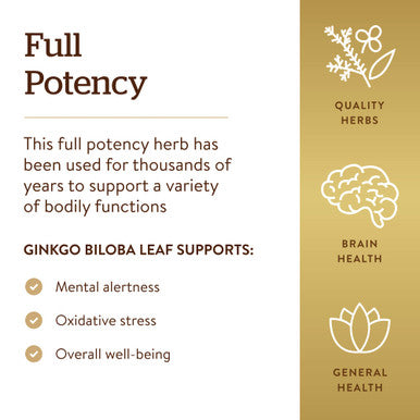 Solgar Ginkgo Biloba Leaf Extract 180 Vegetable Capsules - Brain Health & Mental Alertness - Standardized Full Potency (Sfp) - Non-Gmo Vegan Gluten Free Dairy Free Kosher Halal - 180 Servings