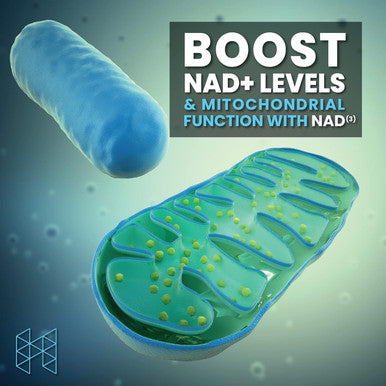 Hpn Nad+ Booster ÃƒÂ¢Ã¢â€šÂ¬Ã¢â‚¬Å“ Nicotinamide Riboside Alternative (Nad3) For Men & Women Anti Aging Nrf2 Activator, 312 Mg Per Serving ÃƒÂ¢Ã¢â€šÂ¬Ã¢â‚¬Å“ Natural Energy Supplement For Longevity & Cellular Health, 30 Veggie Pills