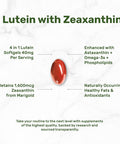 Deal Supplement Lutein and Zeaxanthin Supplements 40mg Per Serving | 300 Softgels Enhanced with Astaxanthin Omega-3s and Phospholipids Essential Eye Vitamins & Vision Health Support