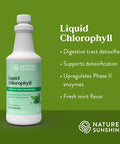 Natures Sunshine Chlorophyll Liquid 16 fl. oz Kosher Fresh Mint Chlorophyllin Assists Detoxification and Provides Intestinal Immune and Digestive System Support
