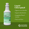 Natures Sunshine Chlorophyll Liquid 16 fl. oz Kosher Fresh Mint Chlorophyllin Assists Detoxification and Provides Intestinal Immune and Digestive System Support
