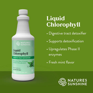 Natures Sunshine Chlorophyll Liquid 16 fl. oz Kosher Fresh Mint Chlorophyllin Assists Detoxification and Provides Intestinal Immune and Digestive System Support