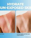 Terrasil After Sun Care Lotion With Aloe Vera, Shea Butter, Coconut Oil, & Vitamin E, Soothing Sunburn Relief For Sun Exposed Skin, Deeply Nourishing. Natural Body Lotion (3 Oz) Tropical Scent