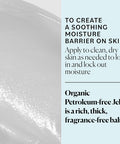 Sky Organics Organic Petroleum- Jelly, Multi-Purpose Skin Care Balm With Organic Shea Butter, Coconut Oil, Olive Oil & Vitamin E, Moisturizing Lip Balm & Moisturizer For Dry Skin, 2.5 Oz W Ebook