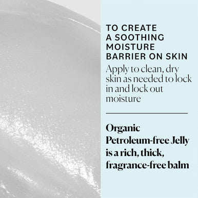 Sky Organics Organic Petroleum- Jelly, Multi-Purpose Skin Care Balm With Organic Shea Butter, Coconut Oil, Olive Oil & Vitamin E, Moisturizing Lip Balm & Moisturizer For Dry Skin, 2.5 Oz W Ebook