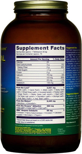HealthForce SuperFoods Vitamineral Green - 500 Grams - Pack of 2 - All-Natural Green Superfood Complex with Vitamins, Minerals, Amino Acids & Protein - Organic, Vegan, Gluten Free - 100 Total Servings