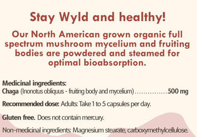 Stay Wyld Organics Chaga Mushroom Vegan Capsule Supplement - Immune System & Inflammation Support, Anti-Aging, Hair Growth, Cardiovascular Health, Antioxidant-Dense Superfood - Perfect for Adult Women & Men | (60 Capsules)