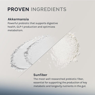 Akkermansia Muciniphila, 60 Capsules (60 Day Supply), Gut Health Support For Women & Men, Probiotic With Prebiotic Fiber, Increases Glp-1 Production, Delayed Release, 500M Afu Live Strain