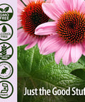 Nature'S Answer Echinacea and Goldenseal | Supports Immune System | Non-GMO Alcohol- Gluten- & Kosher 4oz Extract | Single Count