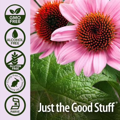 Nature'S Answer Echinacea and Goldenseal | Supports Immune System | Non-GMO Alcohol- Gluten- & Kosher 4oz Extract | Single Count