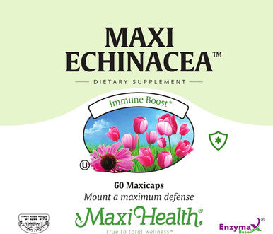 Maxi Health Echinacea - 4% Echinacosides Standardized Extract - Immune Boost - 60 Capsules - Kosher (QECH)