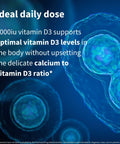 Igennus Daily Vitamin D3 2000iu 50 mcg Clean Label 365 Small Tablets 1Year Supply Vegetarian Cholecalciferol Vitamin D Supplement