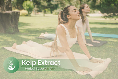 PURE ORIGINAL INGREDIENTS Kelp Extract, (100 Capsules), Pure, No Additives Or Fillers, Lab Verified