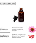 The Nue Co. DEFENSE DROPS FastActing Natural ImmunityBoosting Supplement Instant Immune Support Echinacea Eluthero Shisanda Berry Vegan AlcoholFree SugarFree 30ml