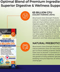 Probiotic 65 Billion Probiotics with Prebiotic for Women Men Lactobacillus Acidophilus Digestive Health Capsules Targeted Release Technology Shelf Stable Supplement NonGMO Dairy 30ct