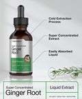 Ginger Root Extract | 2 oz | Alcohol Free Supplement | Super Concentrated | Vegetarian, Non-GMO, Gluten Free Liquid | by Horbaach