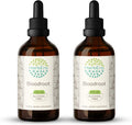 Bloodroot Tincture B120(2 pcs.) Alcohol-Free Extract, Super-Concentrated Responsibly farmed Bloodroot (Sanguinaria Canadensis) Dried Root (2x4 Fl Oz)