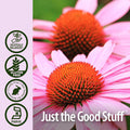 Nature'S Answer Echinacea with Organic Alcohol 2-Fluid Ounces
