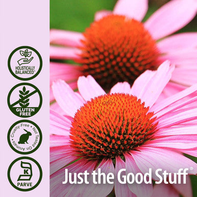 Nature'S Answer Echinacea with Organic Alcohol 2-Fluid Ounces