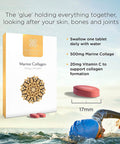 Healthspan Marine Collagen 500mg (120 Tablets) | Hydrolysed Type I Marine Collagen | Support Your Skin, Bones & Joints | Added Benefits for Skin & Beauty | with Vitamin C