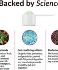 Force Factor Total Beets Drink Mix Superfood Powder with Nitrates to Support CirculationBlood Flow & Smarter Greens Daily Wellness Powder to Support Energy Immunity & Digestion