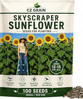 Skyscraper Sunflower Seeds for Planting ÃƒÆ’Ã†â€™Ãƒâ€šÃ‚Â¢ÃƒÆ’Ã‚Â¢ÃƒÂ¢Ã¢â€šÂ¬Ã…Â¡Ãƒâ€šÃ‚Â¬ÃƒÆ’Ã‚Â¢ÃƒÂ¢Ã¢â‚¬Å¡Ã‚Â¬Ãƒâ€¦Ã¢â‚¬Å“ 100+ Heirloom Seeds ÃƒÆ’Ã†â€™Ãƒâ€šÃ‚Â¢ÃƒÆ’Ã‚Â¢ÃƒÂ¢Ã¢â€šÂ¬Ã…Â¡Ãƒâ€šÃ‚Â¬ÃƒÆ’Ã‚Â¢ÃƒÂ¢Ã¢â‚¬Å¡Ã‚Â¬Ãƒâ€¦Ã¢â‚¬Å“ Grows 15ÃƒÆ’Ã†â€™Ãƒâ€šÃ‚Â¢ÃƒÆ’Ã‚Â¢ÃƒÂ¢Ã¢â€šÂ¬Ã…Â¡Ãƒâ€šÃ‚Â¬ÃƒÆ’Ã‚Â¢ÃƒÂ¢Ã¢â‚¬Å¡Ã‚Â¬Ãƒâ€¦Ã¢â‚¬Å“20 ft Tall with Giant Blooms ÃƒÆ’Ã†â€™Ãƒâ€šÃ‚Â¢ÃƒÆ’Ã‚Â¢ÃƒÂ¢Ã¢â€šÂ¬Ã…Â¡Ãƒâ€šÃ‚Â¬ÃƒÆ’Ã‚Â¢ÃƒÂ¢Ã¢â‚¬Å¡Ã‚Â¬Ãƒâ€¦Ã¢â‚¬Å“ Non-GMO, Open-Pollinated, USA Grown