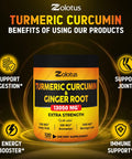 6 in 1 Turmeric Curcumin + Ginger Capsules, 95% Curcuminoids, Equivalent to 13050mg, with Ginger, Garlic Bulb, Bromelain, Moringa, Black Pepper, Joint Inflammatory & Absorption Support