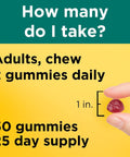 Nature Made Digestive Probiotics And Energy B12 Gummies Probiotics For Women And Men 50 Probiotic Gummies 25 Day Supply