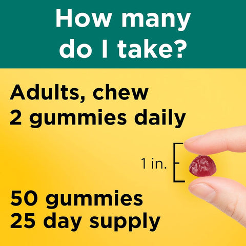Nature Made Digestive Probiotics And Energy B12 Gummies Probiotics For Women And Men 50 Probiotic Gummies 25 Day Supply