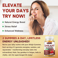 Sugar-Shilajit Gummies 1000 Mg With 85+ Trace Minerals & Fulvic Acid, Pure Himalayan Shilajit Supplement Gummies For Men & Women - Energy, Brain, Immunity - Strawberry Flavor, 120 Count