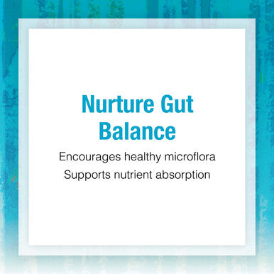 Natural Factors Ultimate Probiotic Seniors Digestive and Immune Support 35 Billion CFU 30 Capsules
