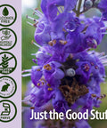 Nature'S Answer Alcohol- Vitex Berry 1-Fluid Ounce | Promotes Hormonal Balance | Ovulation Support | Menopausal Support